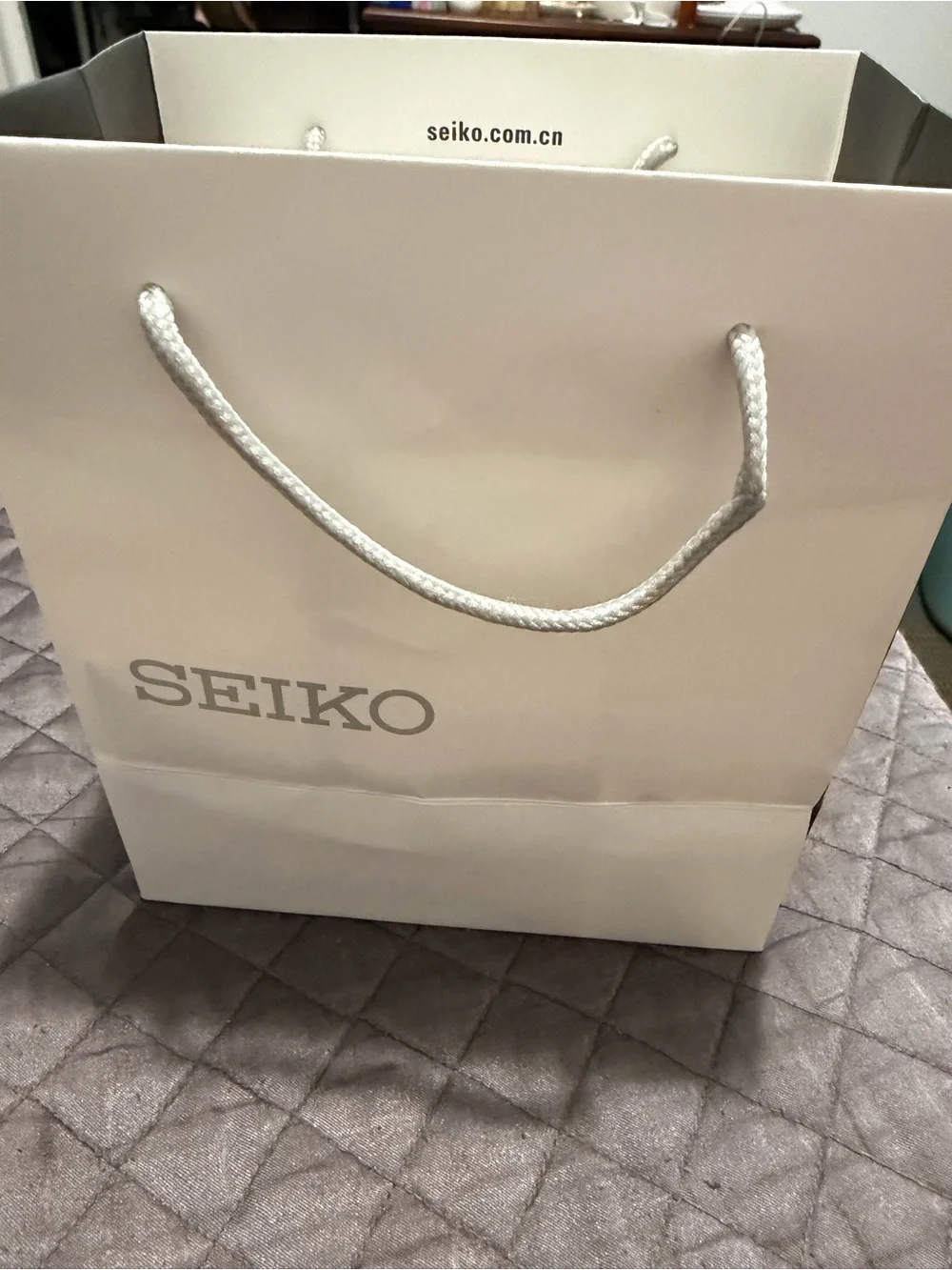 Seiko Silver Stainless Steel Watch with Brown Dial
